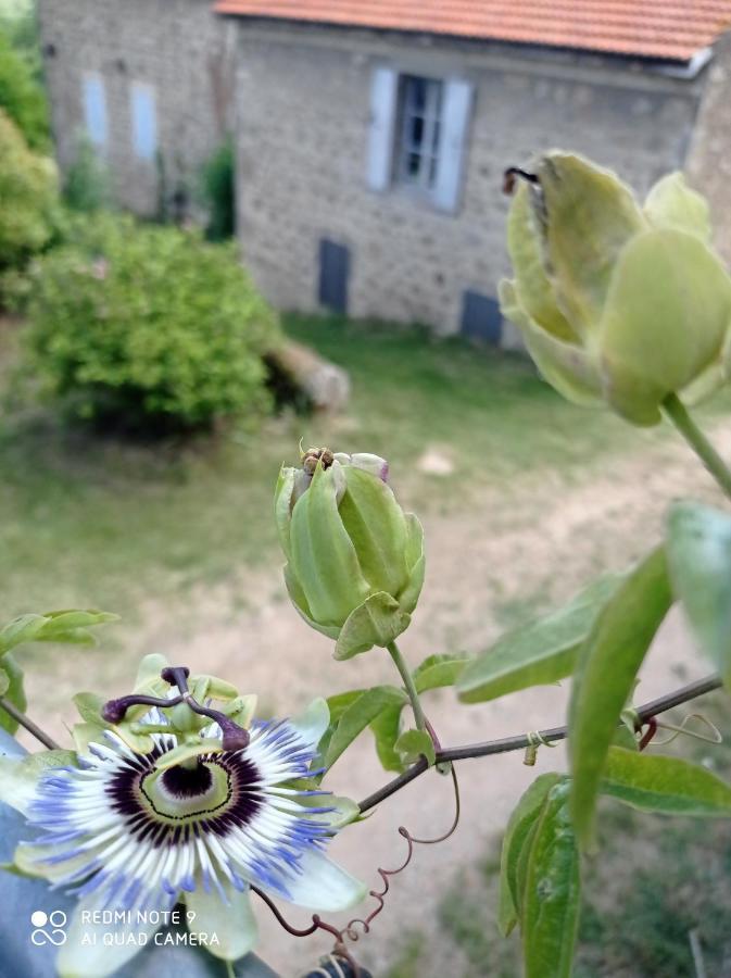 Вілла Ferme De Fenivou Boulieu-les-Annonay Екстер'єр фото